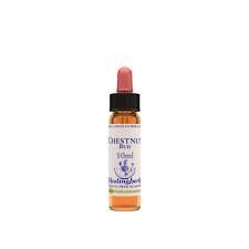 BACH CHESNUT BUD/BROTE CASTAÑO BIO 10ml-HEALING HERBS