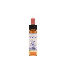 BACH CHICORY/ACHICORIA BIO 10ml-HEALING HERBS