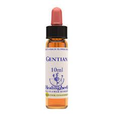 BACH GENTIAN/GENCIANA BIO 10ml-HEALING HERBS