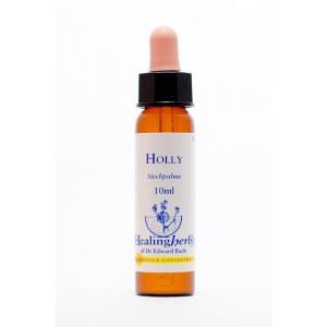 BACH HOLLY/ACEBO BIO 10ml-HEALING HERBS