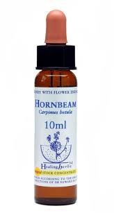 BACH HORNBEAM/HOJARANZO BIO 10ml-HEALING HERBS