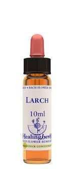 BACH LARCH/ALERCE BIO 10ml-HEALING HERBS