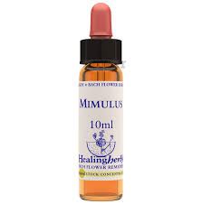 BACH MIMULUS/MIMULO BIO 10ml-HEALING HERBS