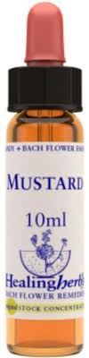 BACH MUSTARD/MOSTAZA BIO 10ml-HEALING HERBS