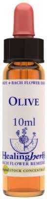 BACH OLIVE/OLIVO BIO 10ml-HEALING HERBS